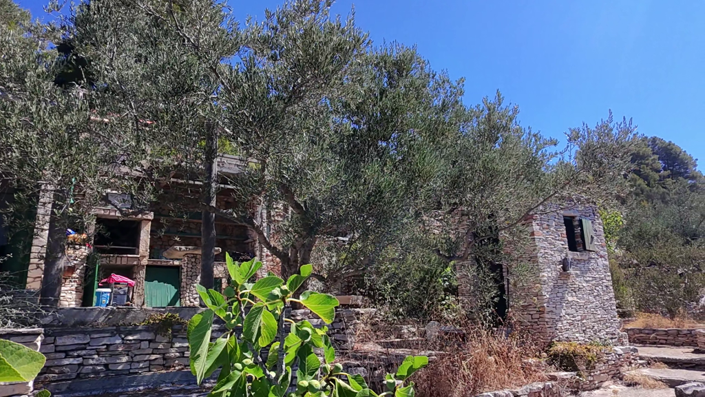 Hände beim Schneiden und Pflanzen, Symbol für Neubeginn am Get Your Fjaka Kutak