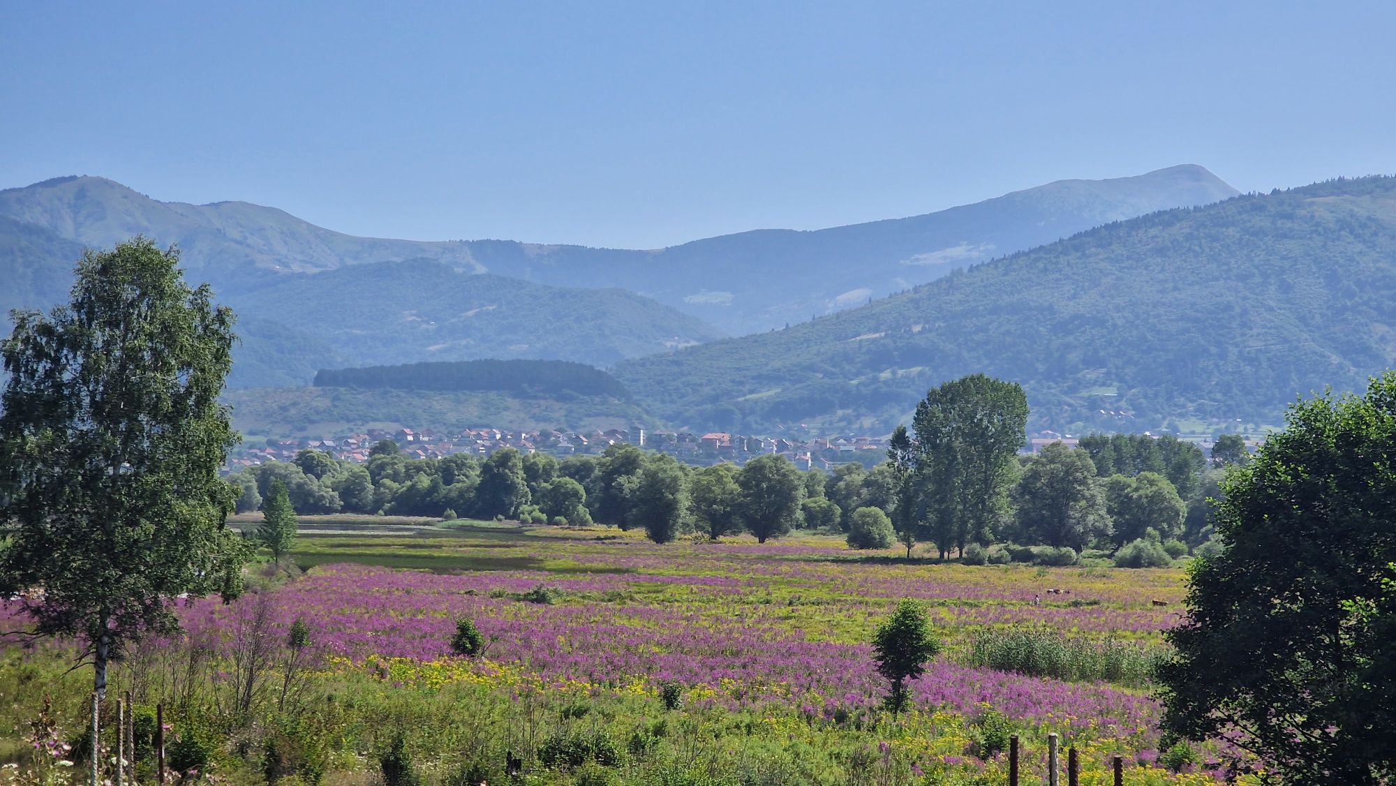 Blick auf den Plavsee in Montenegro