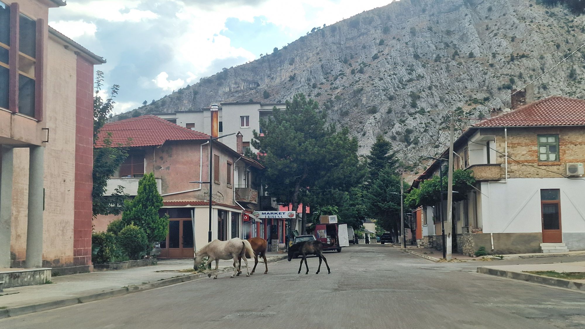 Pferde auf der Hauptstraße bei Leskovik in Albanien