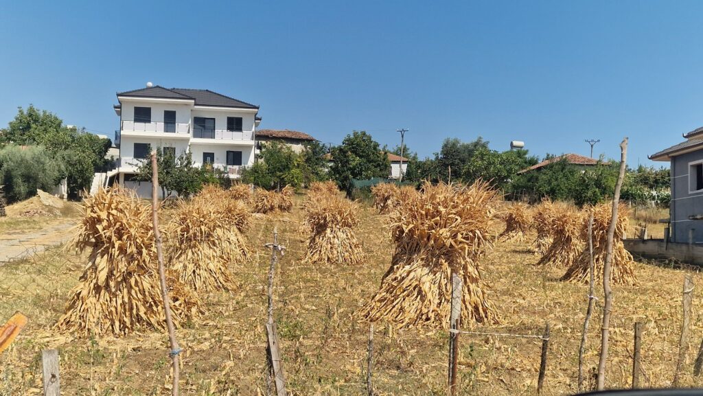 Maiskolben trocknen an einem Haus in Albanien