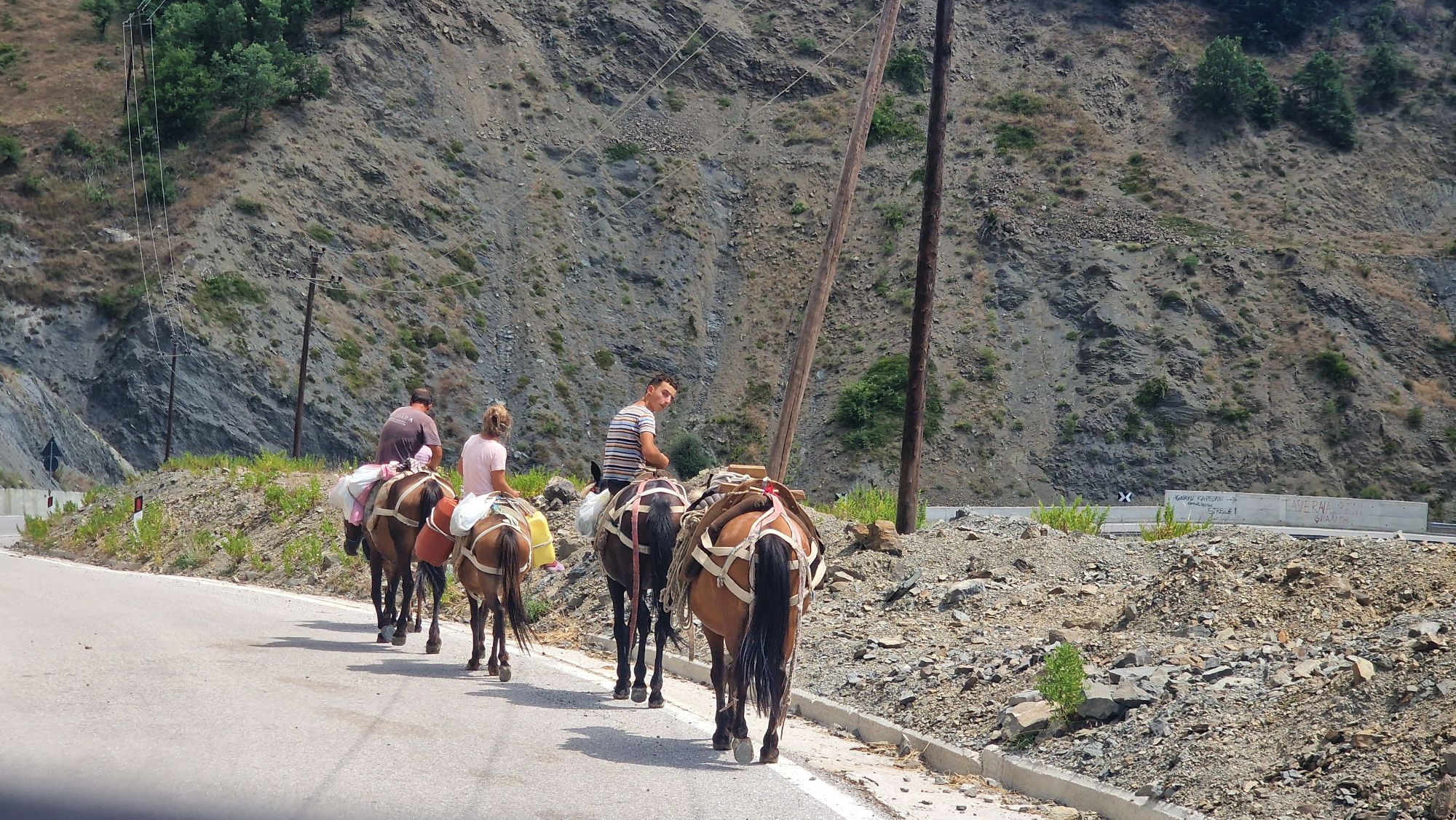 Vierbeinige Verkehrsteilnehmer auf der Bergstraße nach Korçë