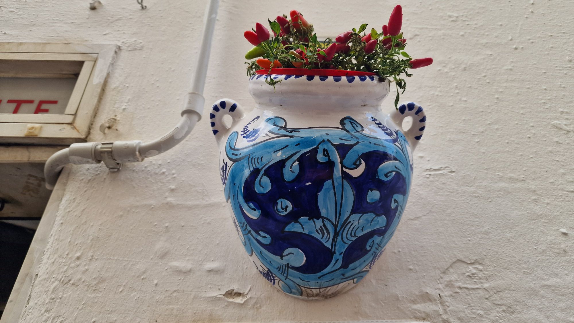 Chilipflanzen in apulischer Keramik